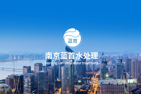 沙湾建站-南京蓝首水处理设备有限公司