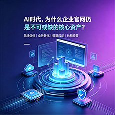 塔城地区建站-AI时代,为什么企业官网仍是不可或缺的核心资产?